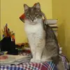 Отзыв от Мария Покровская